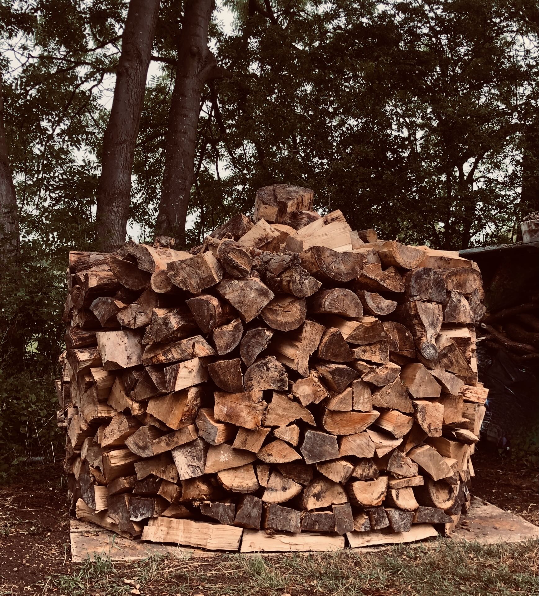 Stacked firewood and wheelbarrows along the riverbank, awaiting the kiln
